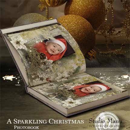 Christmas Photo Book