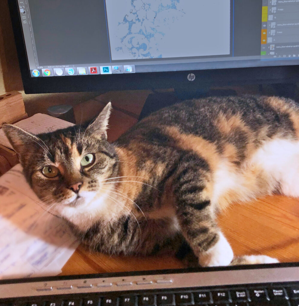 My cat Frieda helping me design my printable planner pages